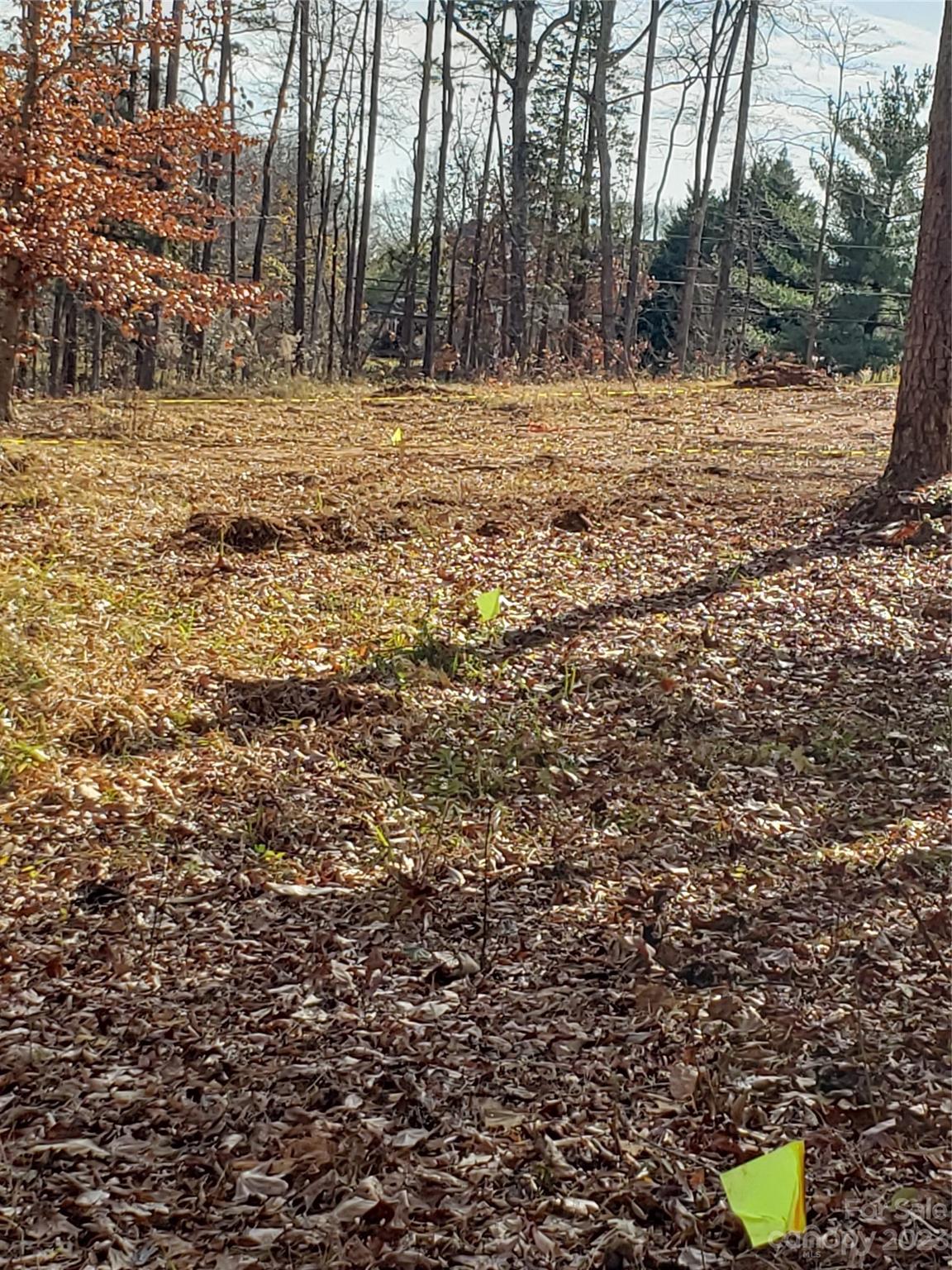 Bowser Estates - Land