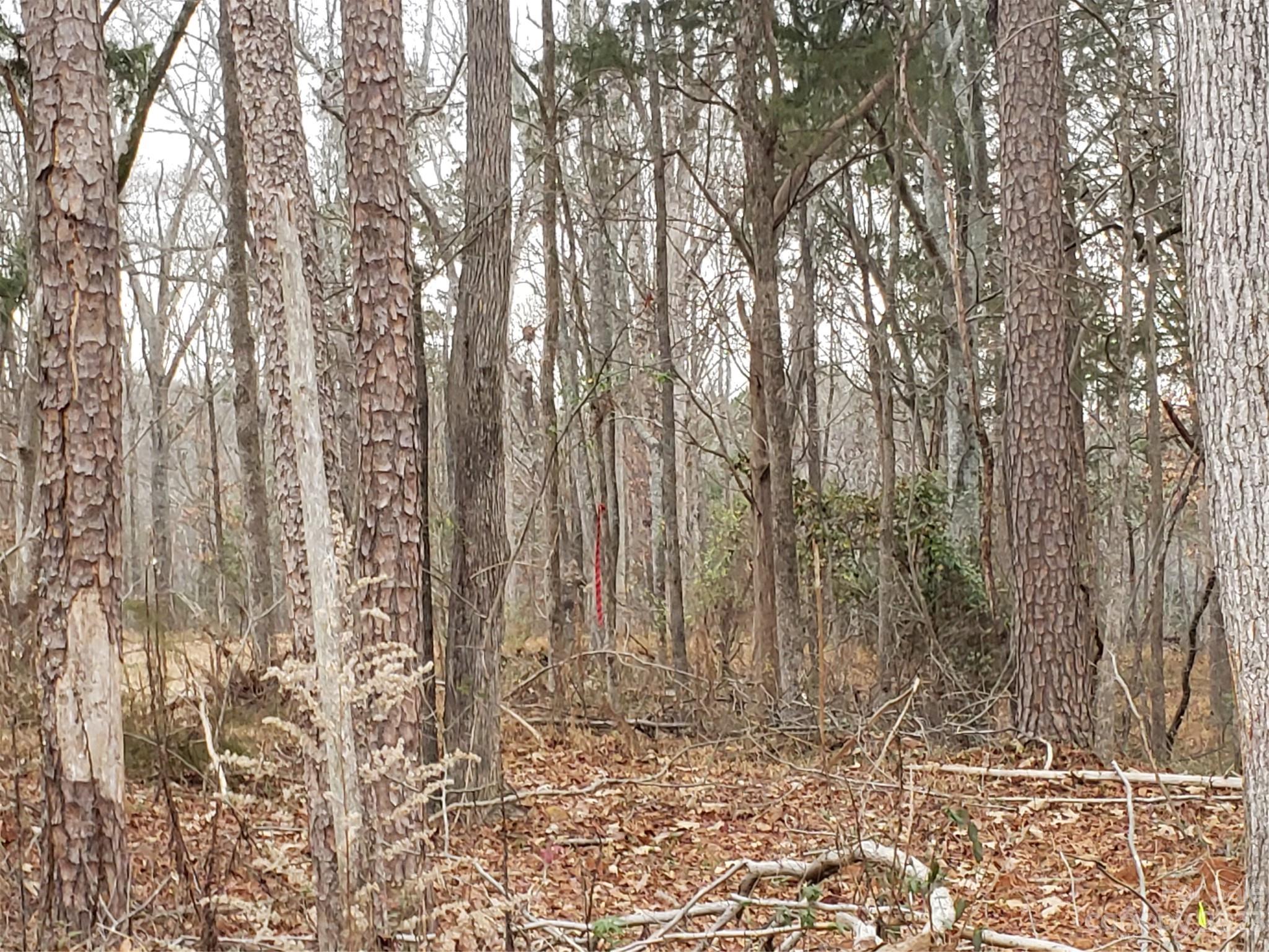 Bowser Estates - Land