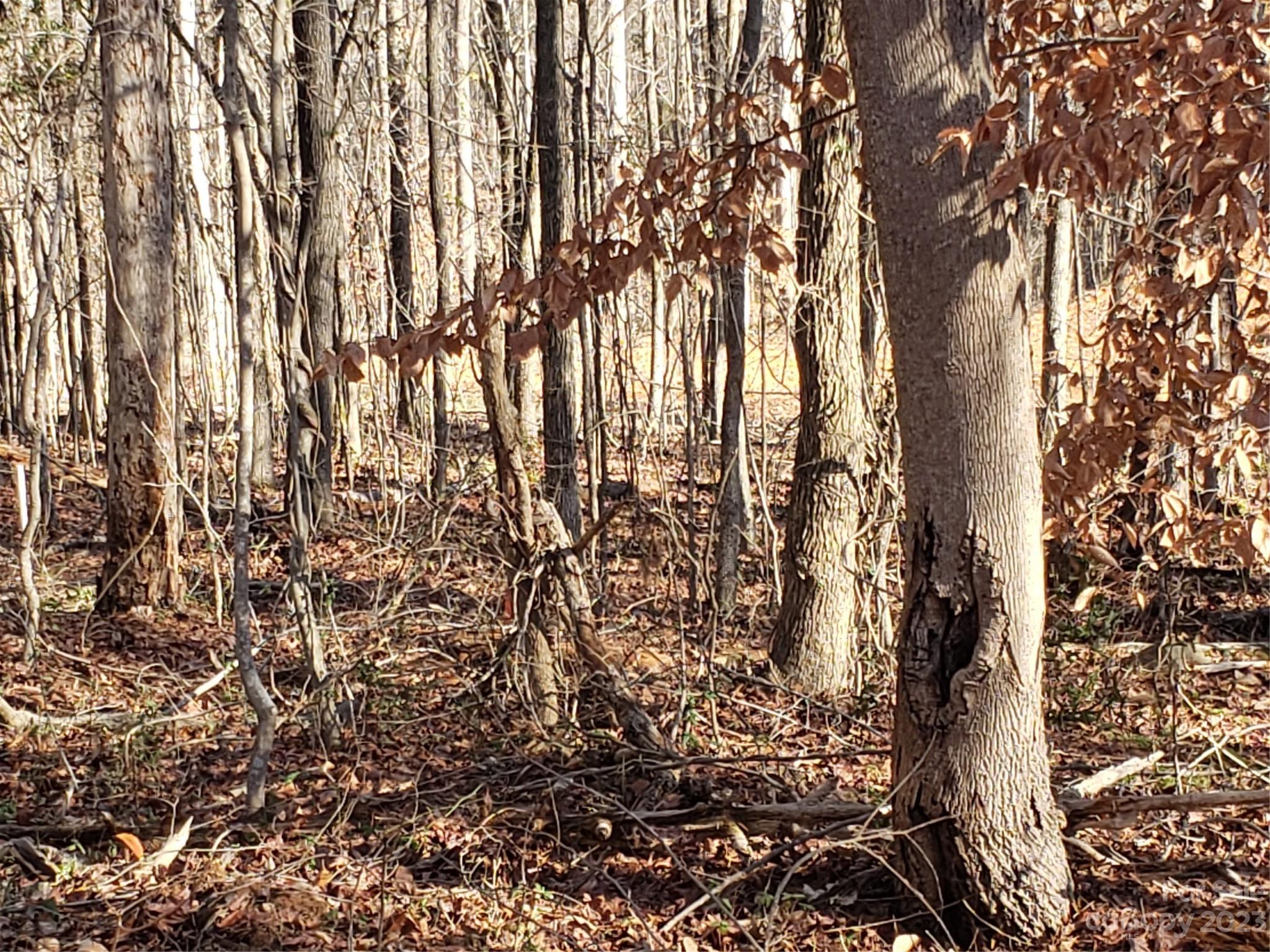 Bowser Estates - Land