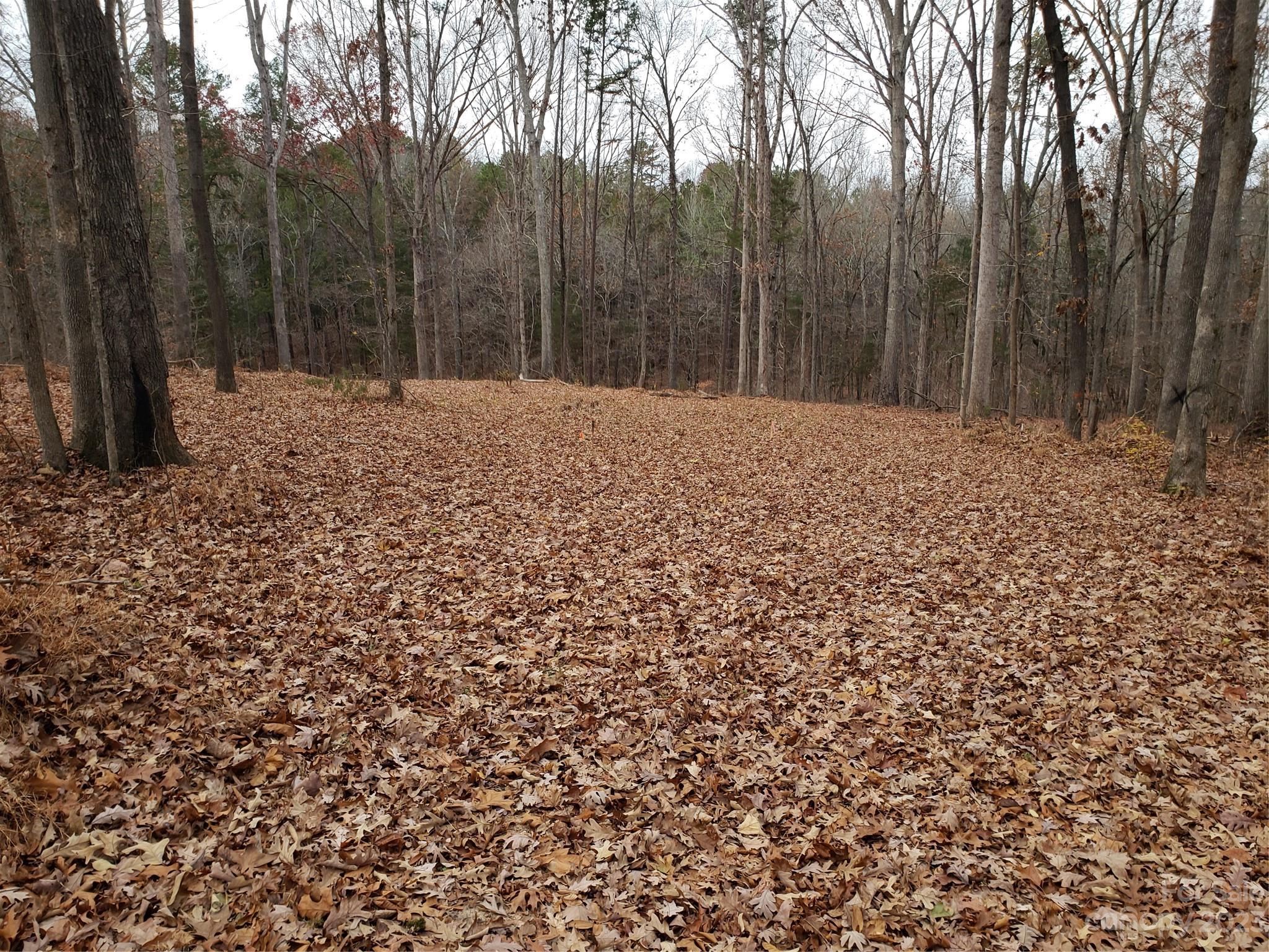 Bowser Estates - Land