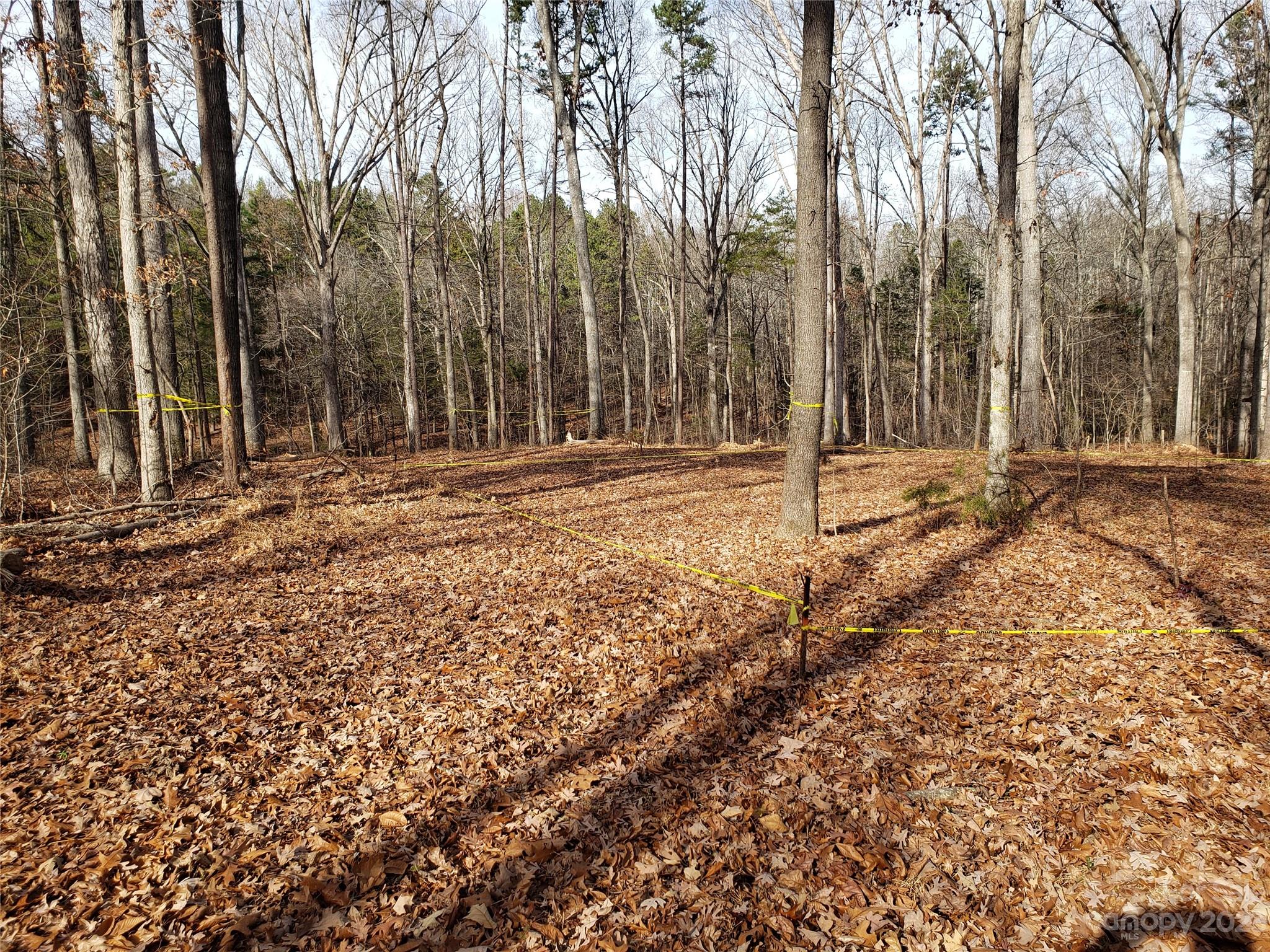 Bowser Estates - Land