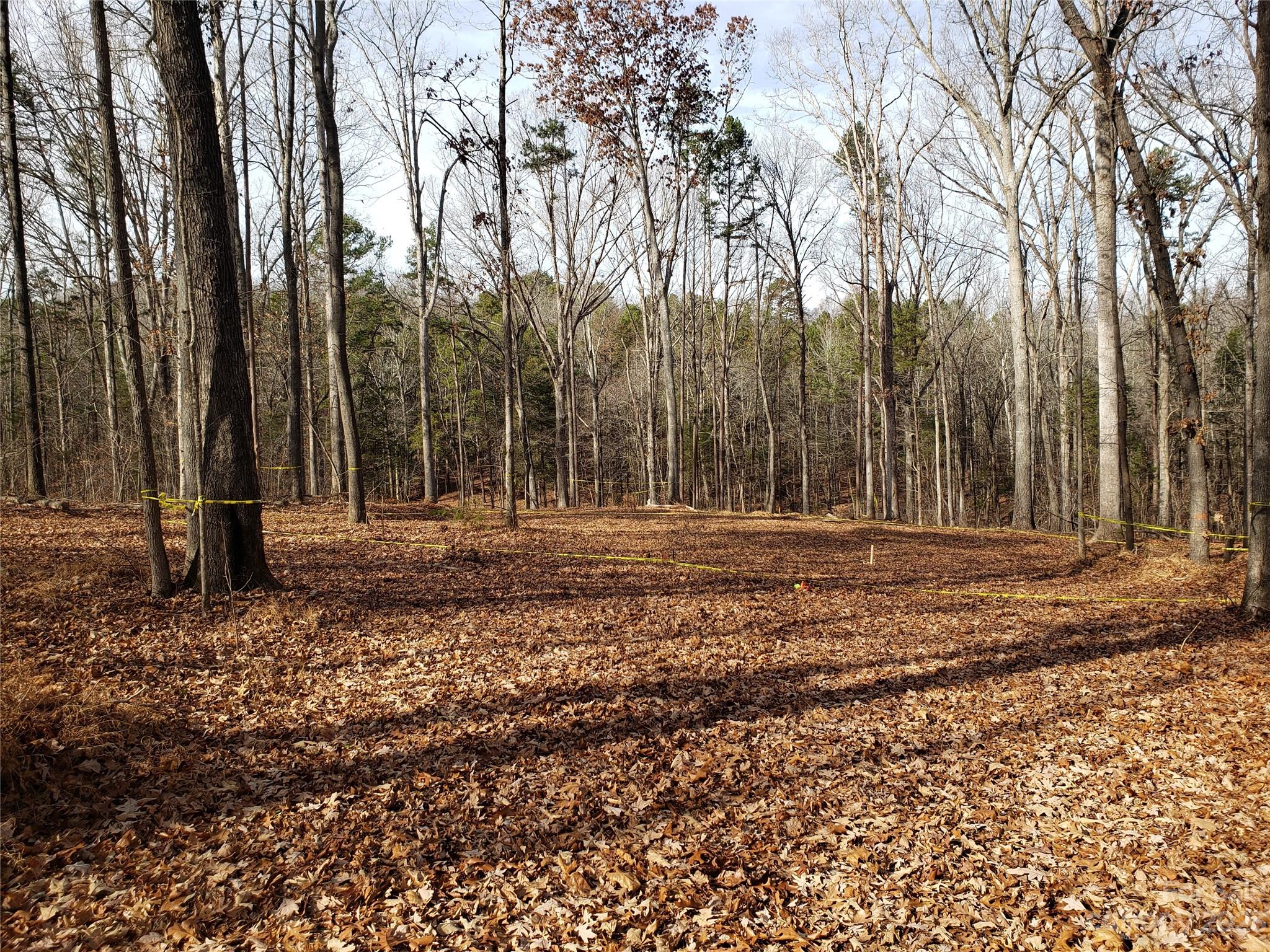 Bowser Estates - Land