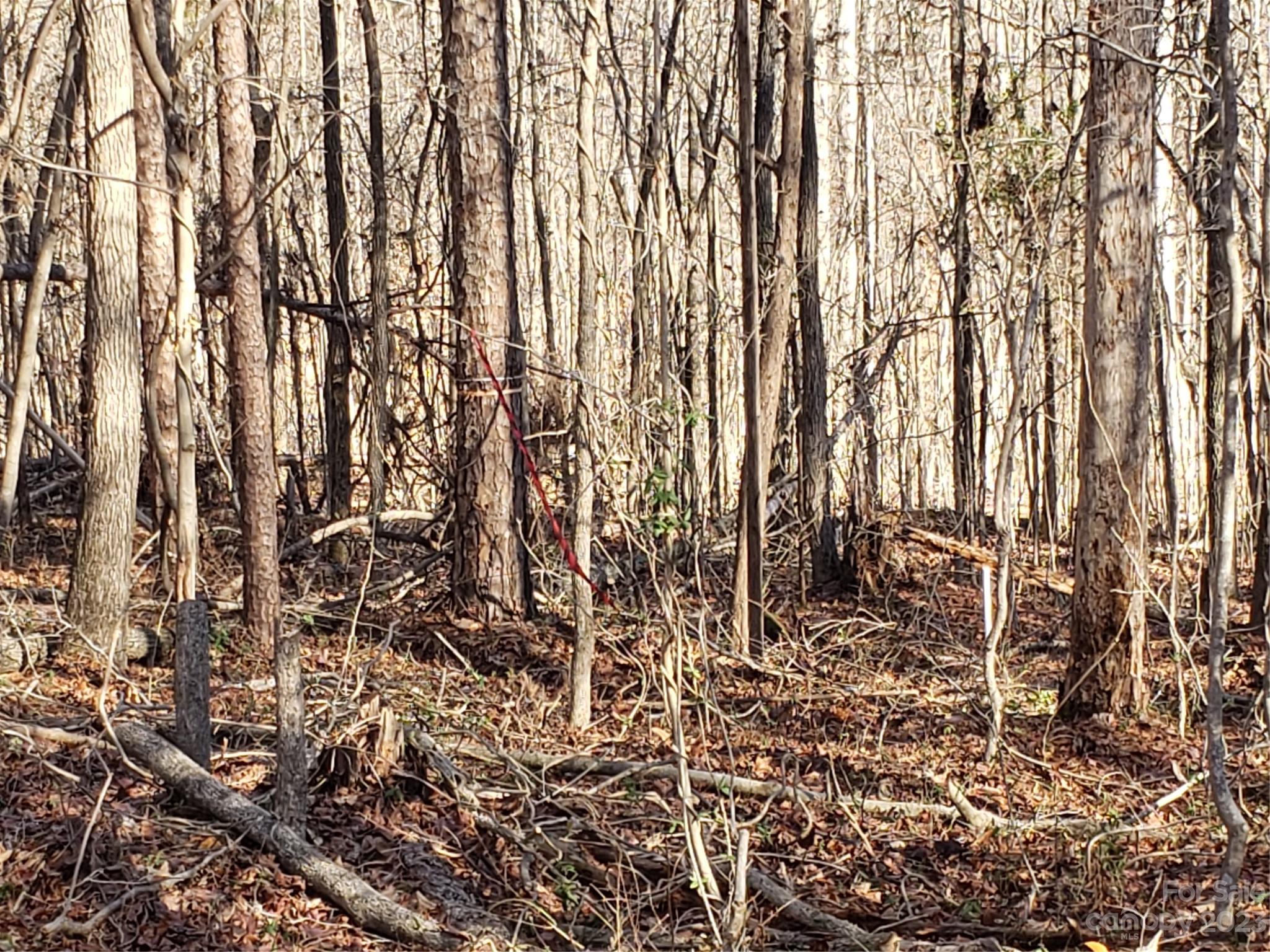 Bowser Estates - Land