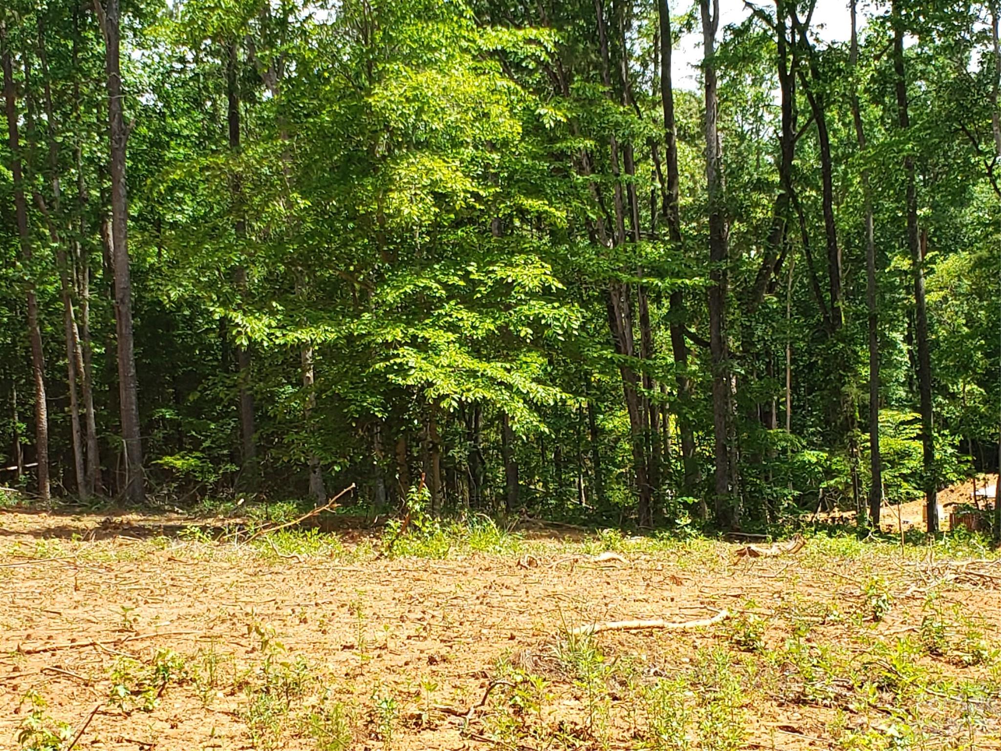 Bowser Estates - Land