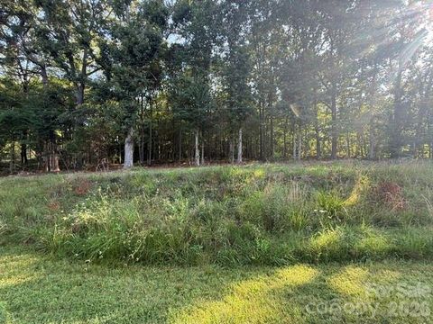 Photo of 11219 Johnson Davis Road, Huntersville, NC 28078 (MLS # 4399413)