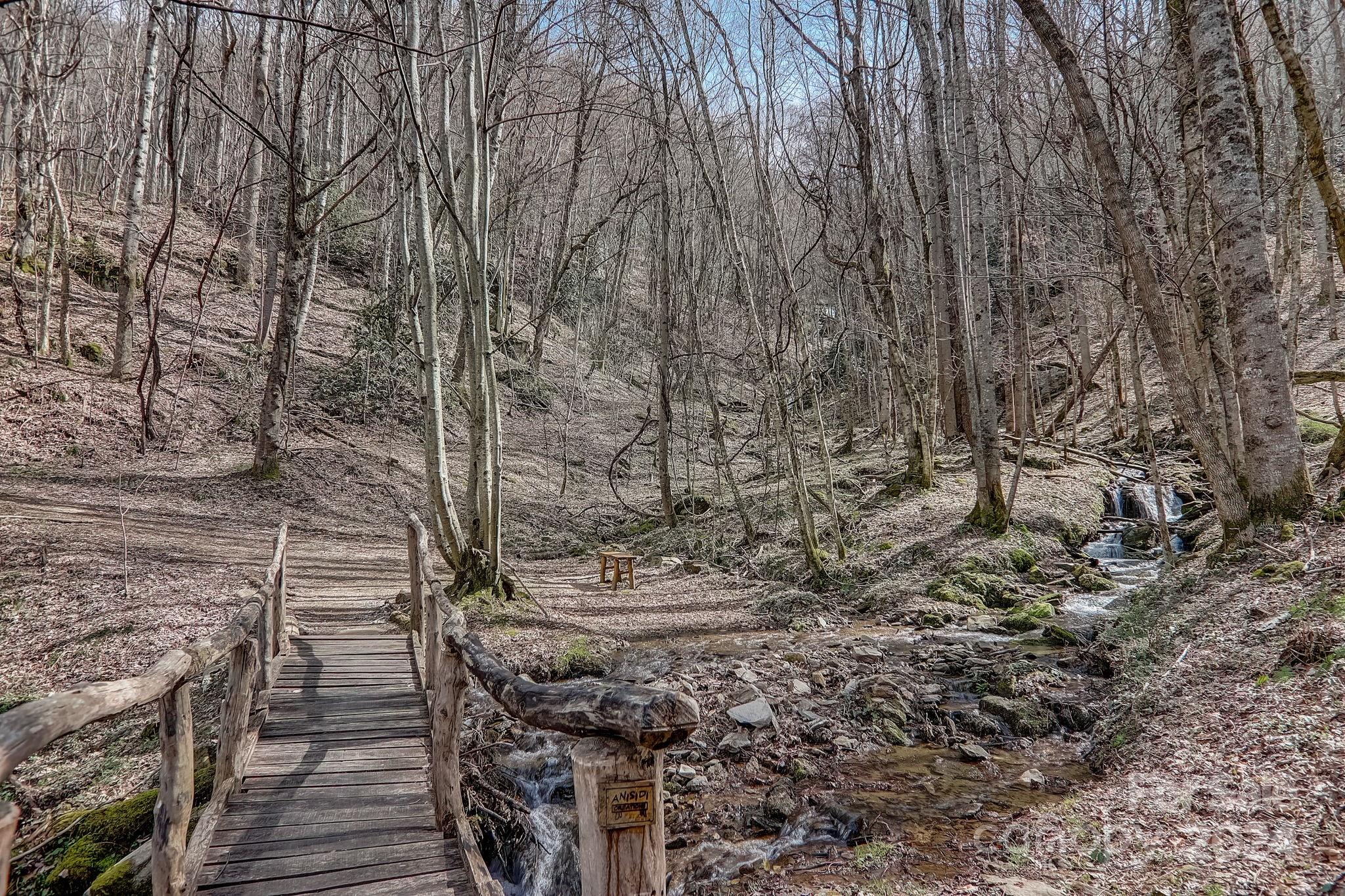 Smoky Mountain Retreat at Eagles Nest - Residential