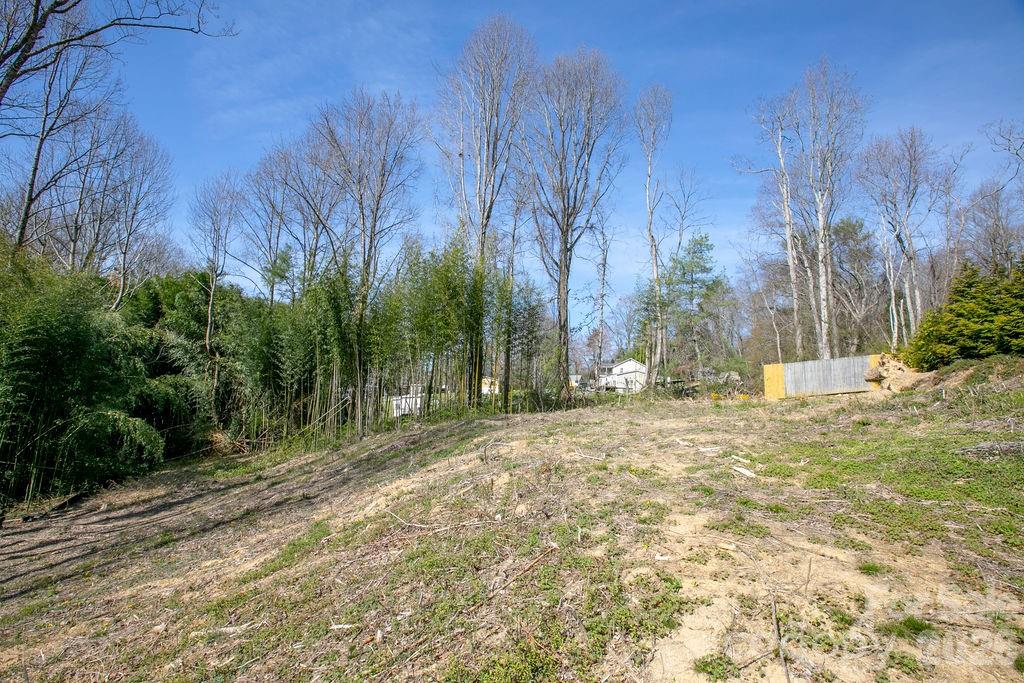 Chestnut Ridge - Land