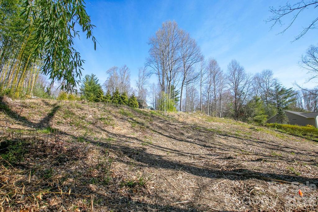 Chestnut Ridge - Land