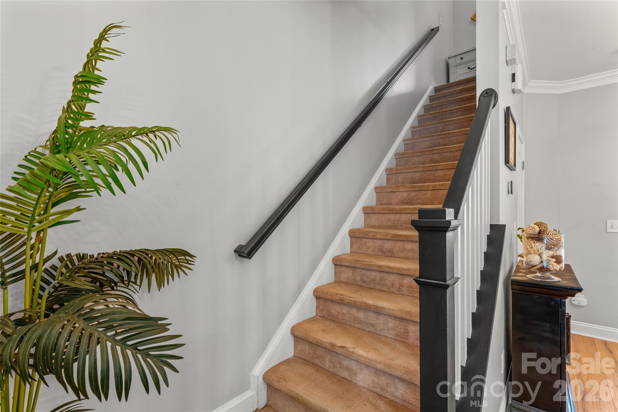 Lela Court - Residential