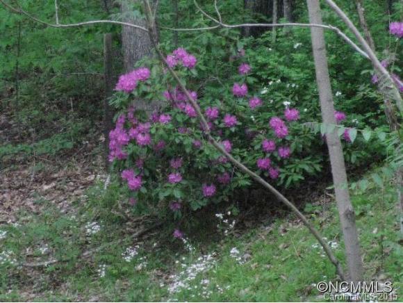 Happy Valley - Residential