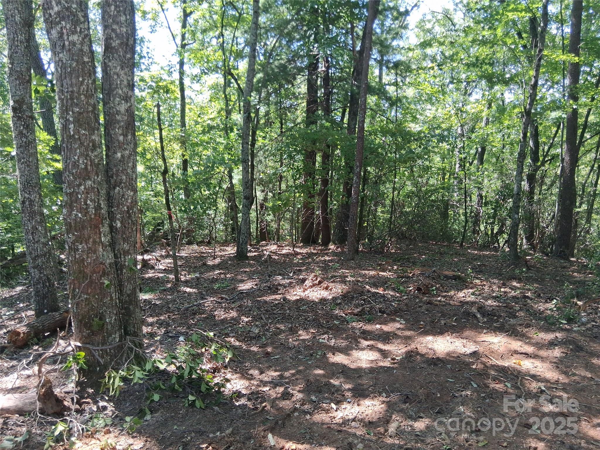 Misty Mountain Estates - Land