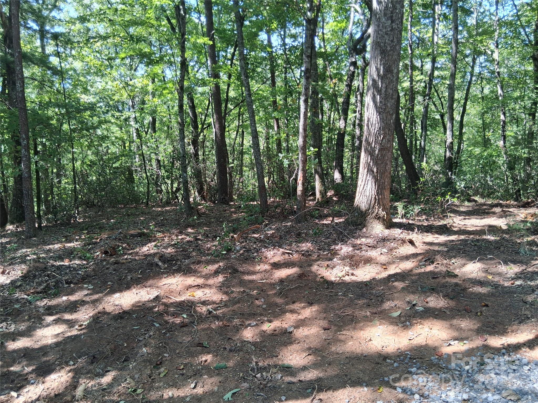 Misty Mountain Estates - Land