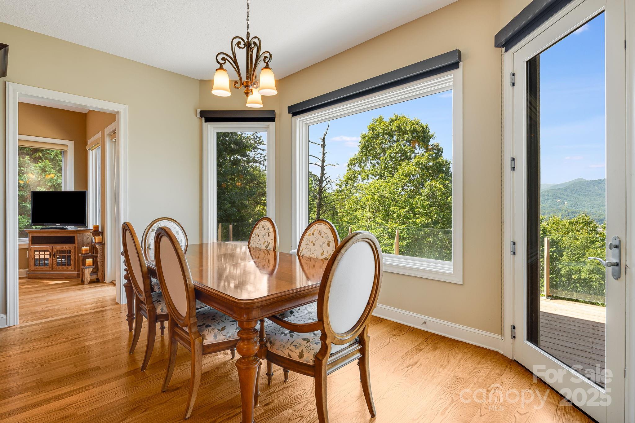 Rumbling Bald on Lake Lure - Residential