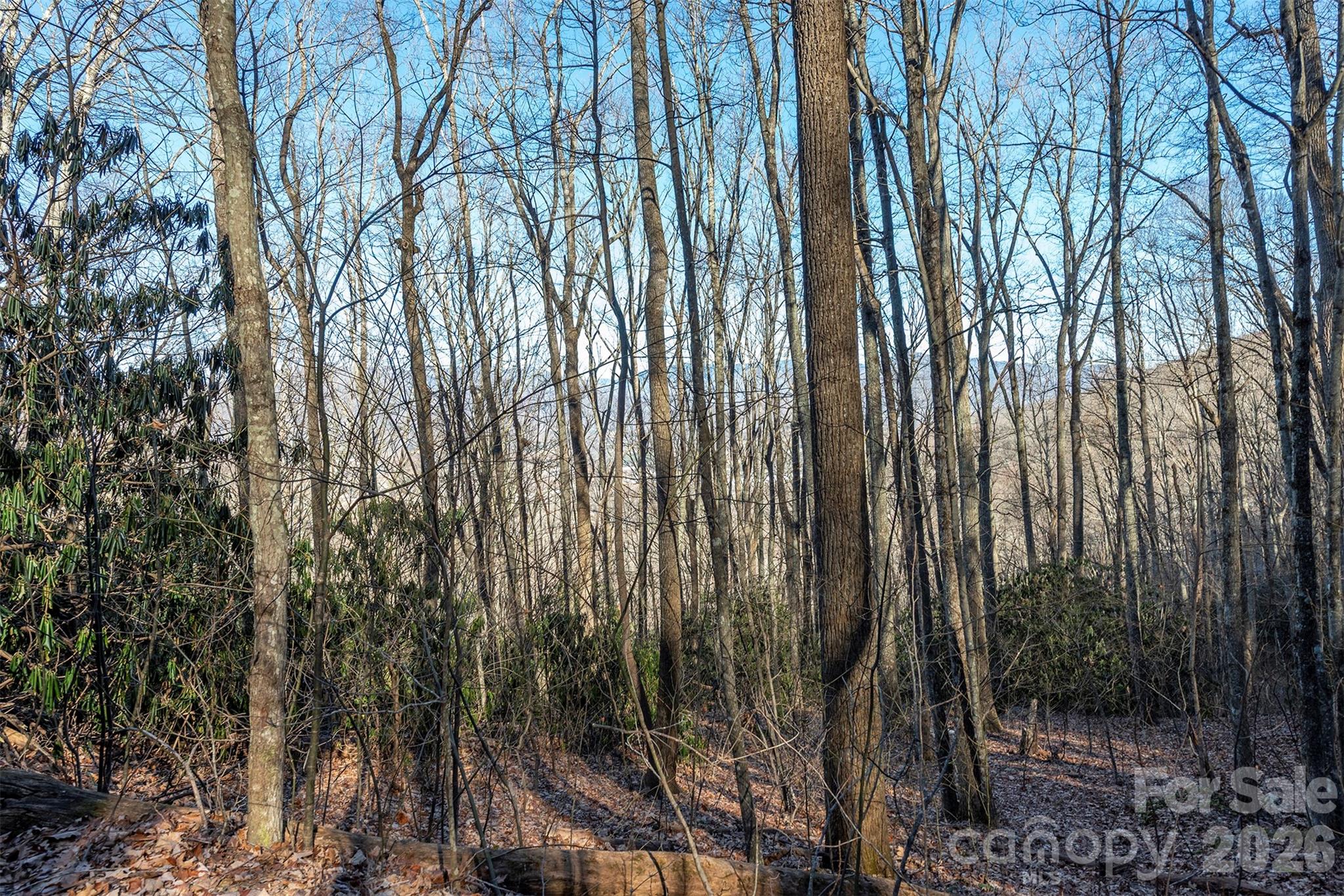 Alpine Mountain - Land