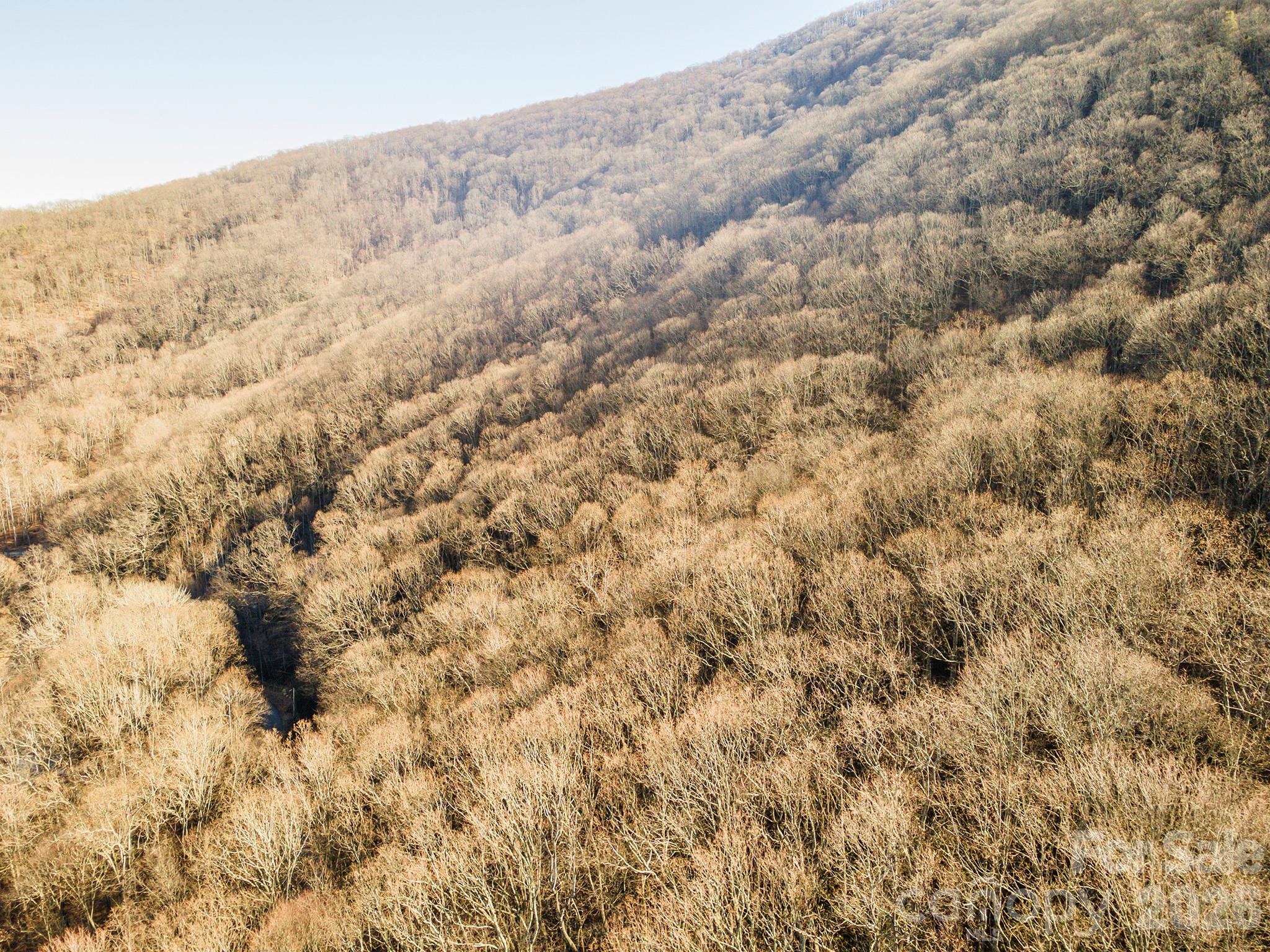 00 Wildflower Cove Road 18