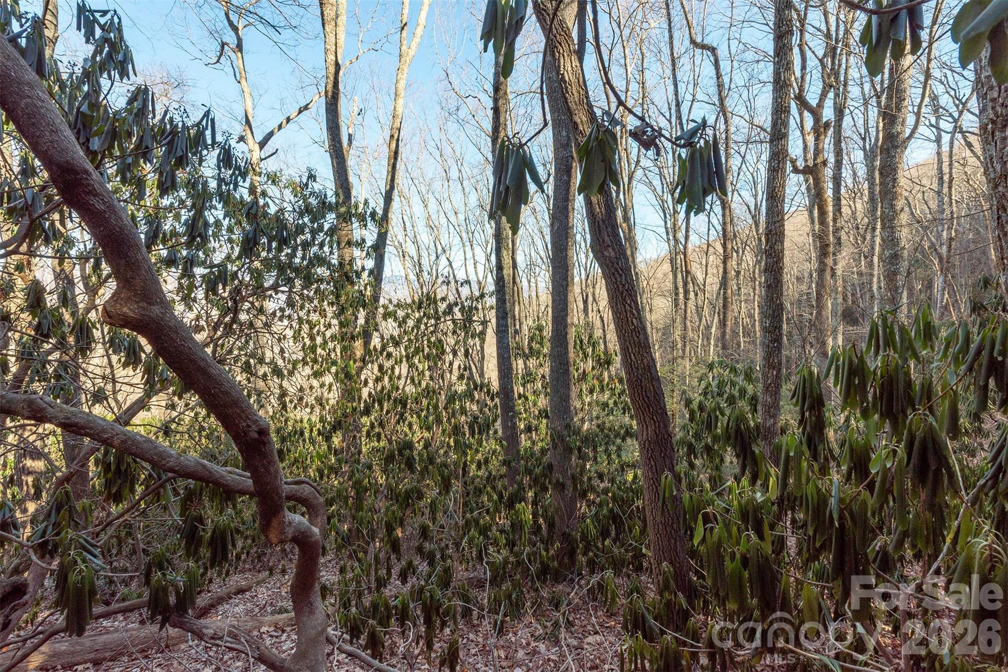 Alpine Mountain - Land