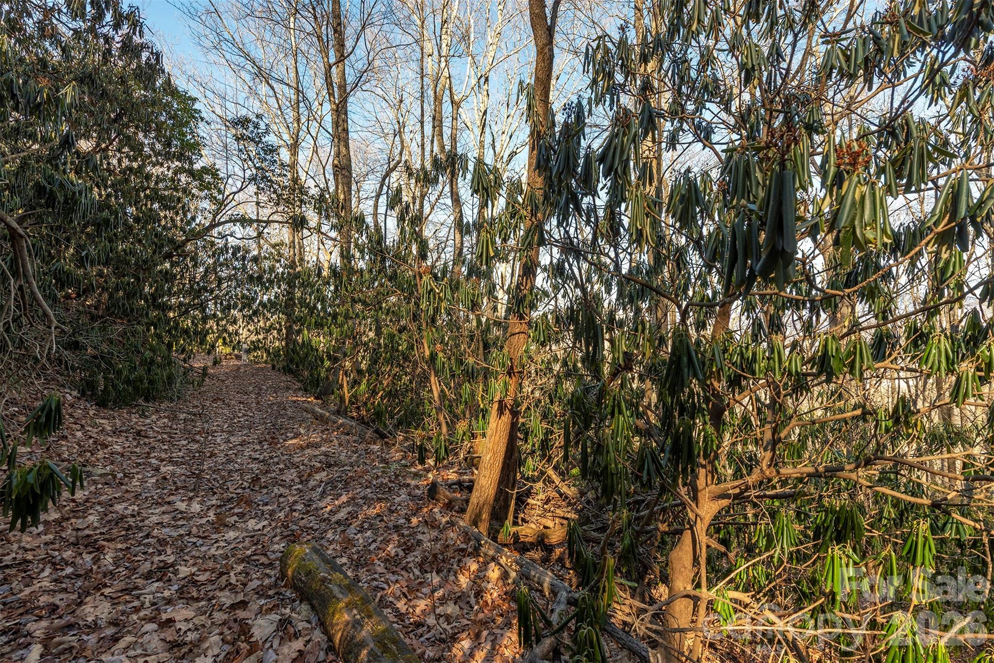 Alpine Mountain - Land