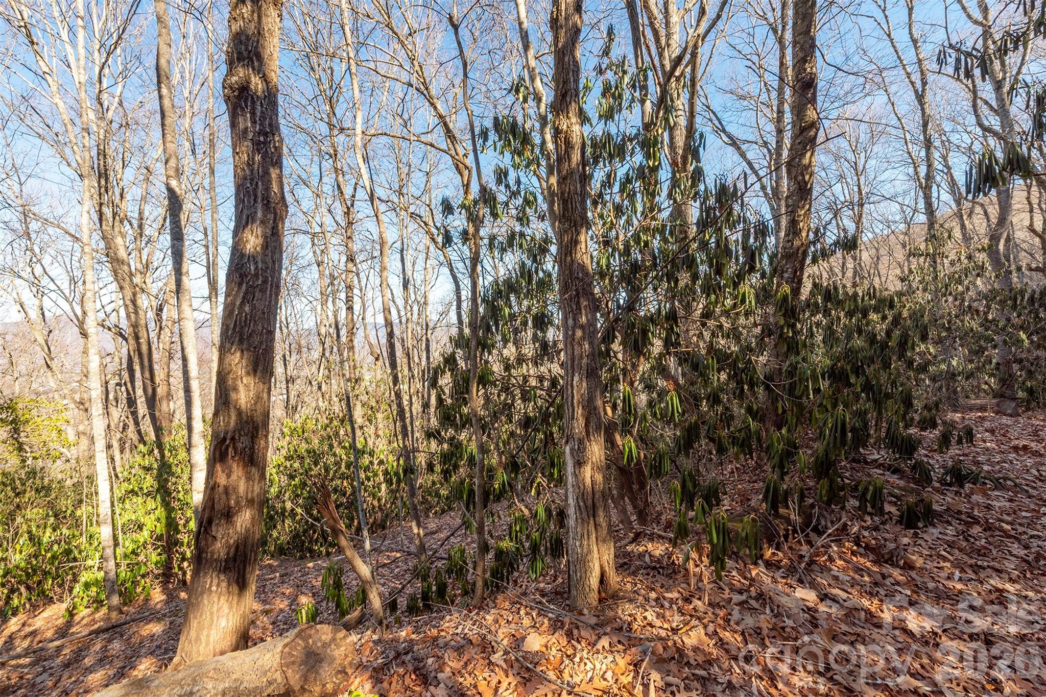 Alpine Mountain - Land