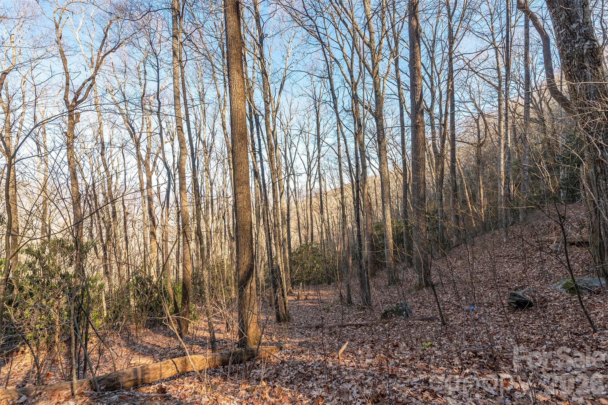 Alpine Mountain - Land