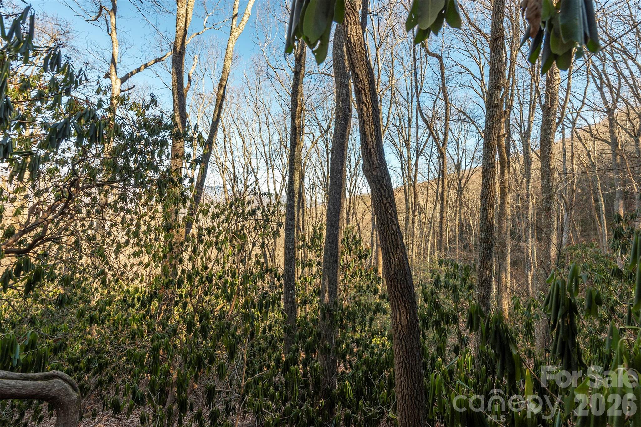 Alpine Mountain - Land