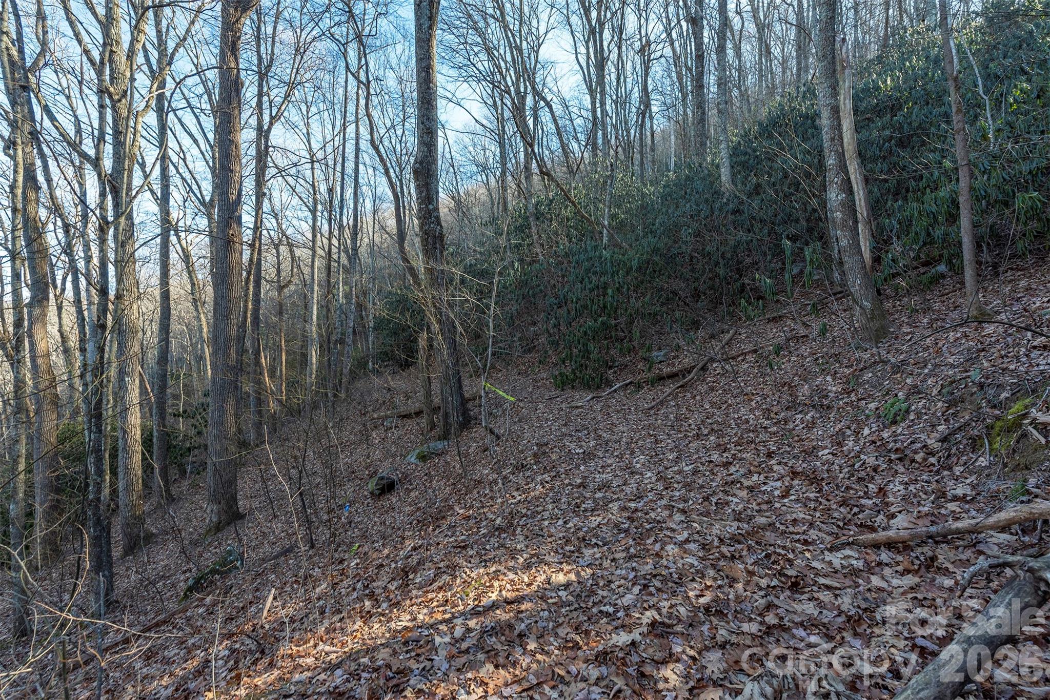 Alpine Mountain - Land