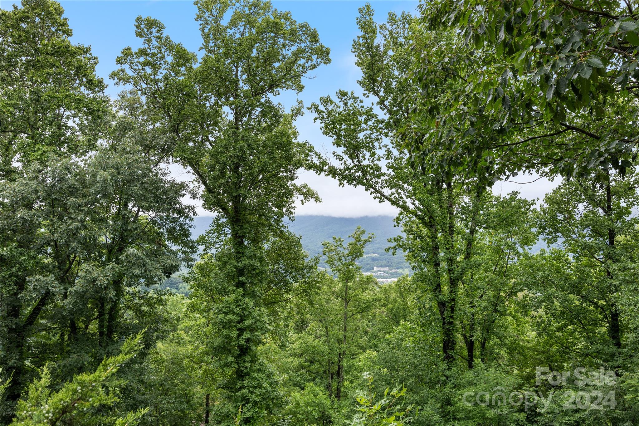 Smoky Mountain Sanctuary - Residential