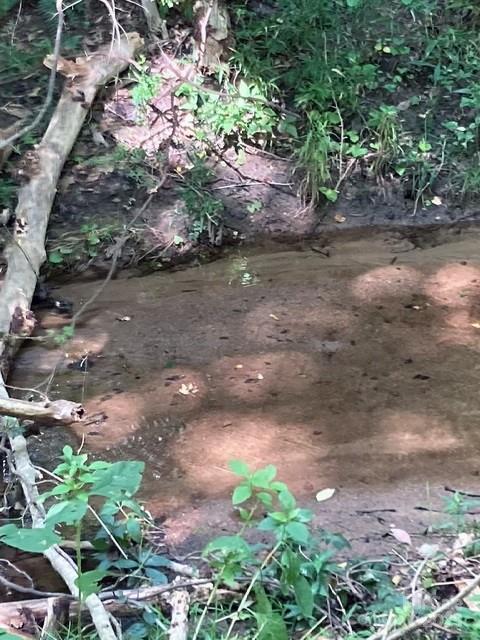 Barbers Creek - Land