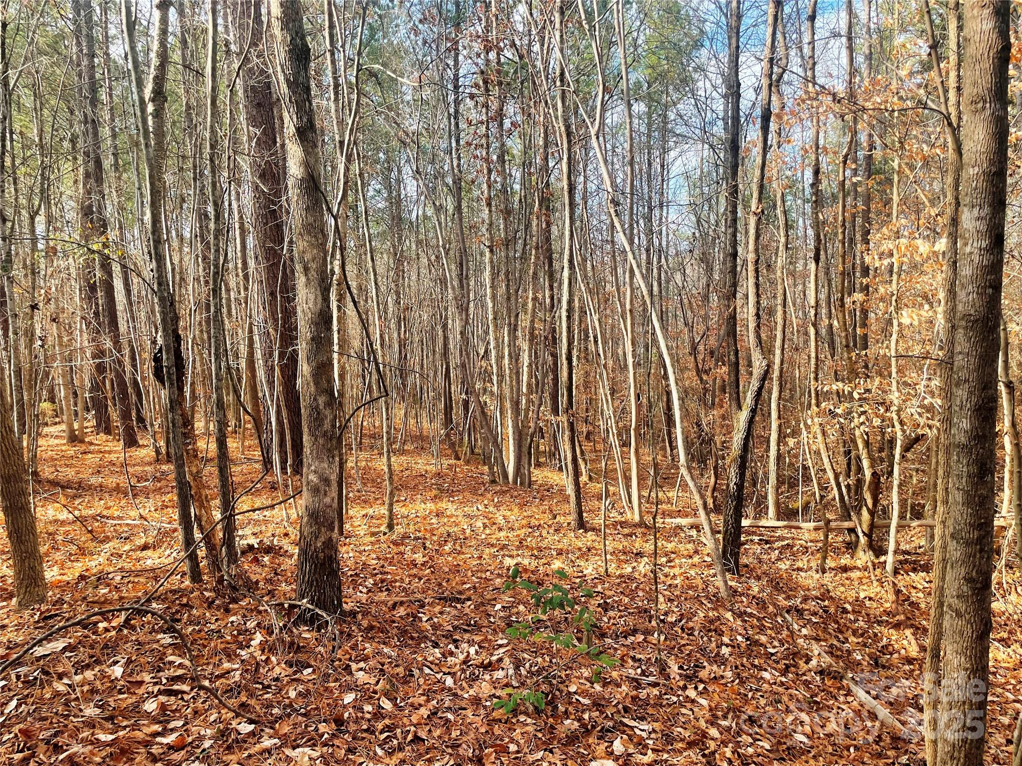 Lot #7 Winnie Hole Lane 7