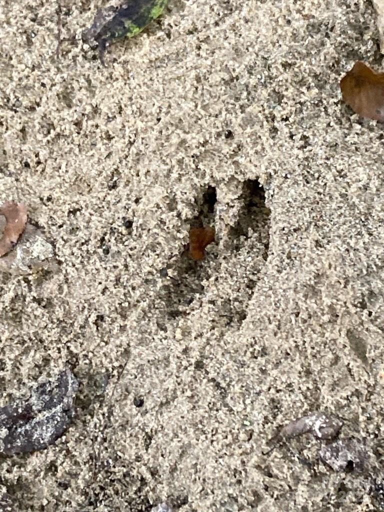 Barbers Creek - Land