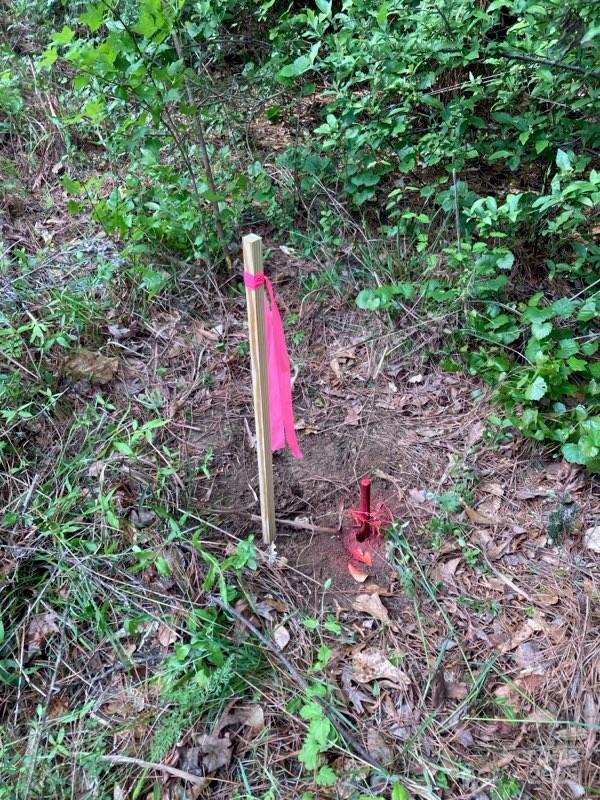 Barbers Creek - Land