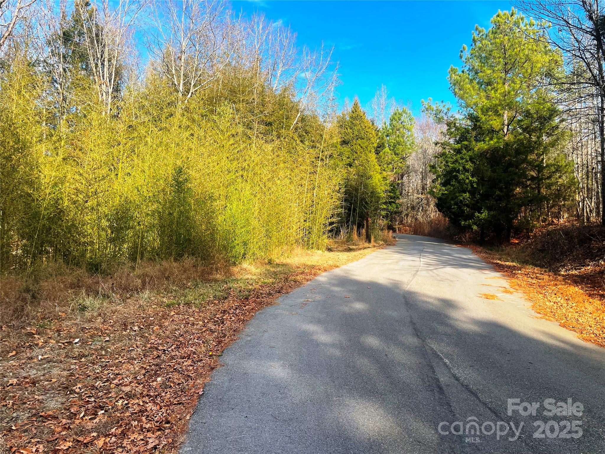 Barbers Creek - Land