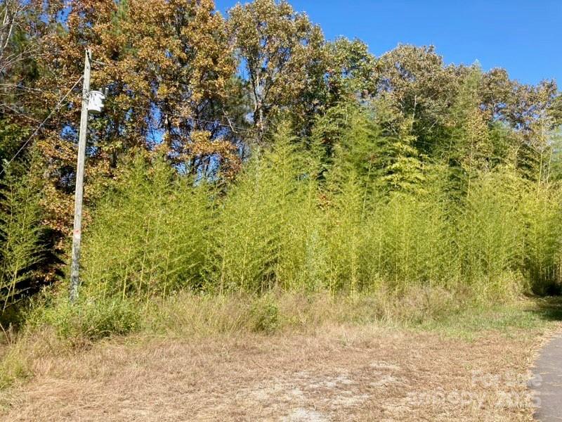 Lot #7 Winnie Hole Lane 7