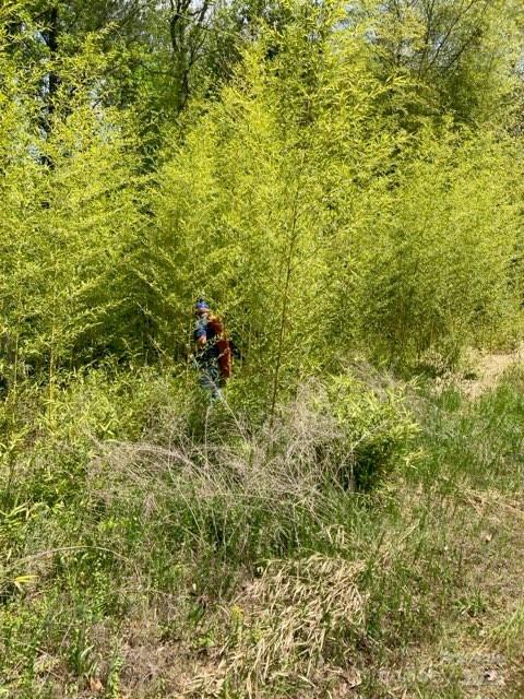 Barbers Creek - Land