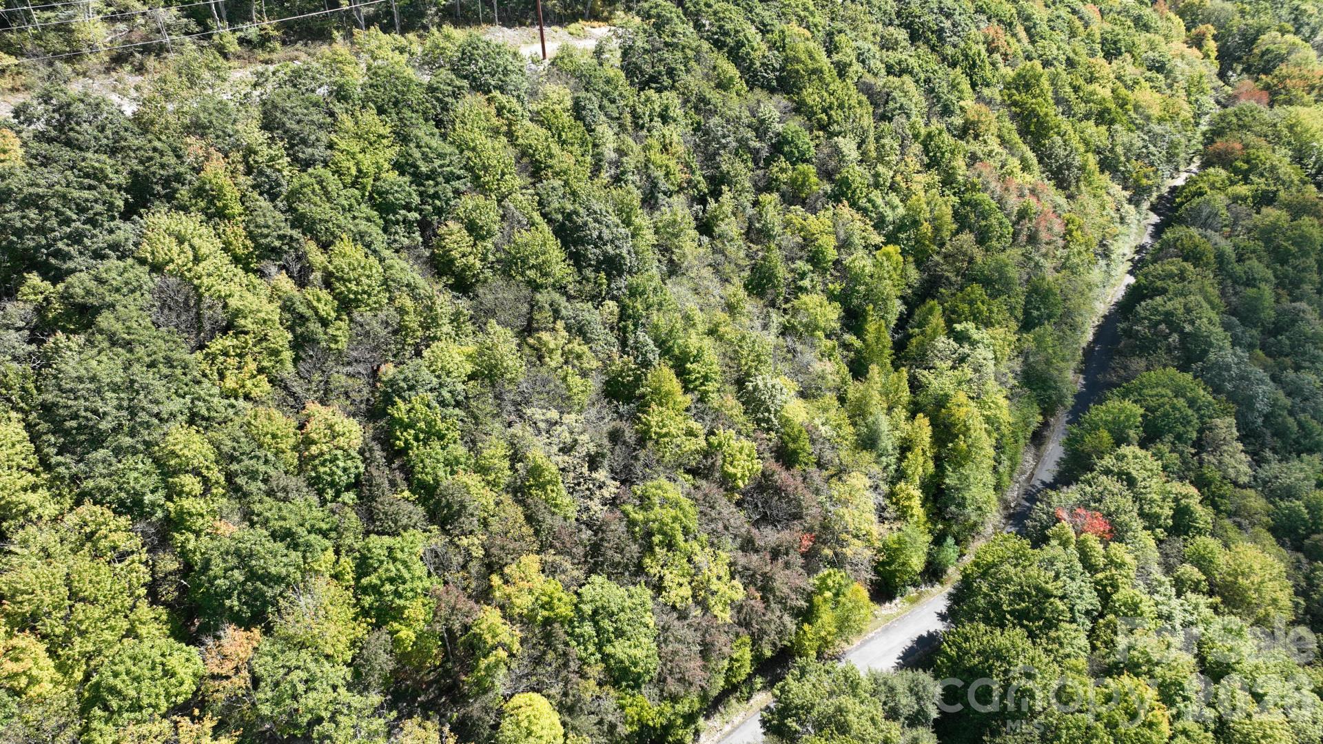 Lot 8 South View Trail 8