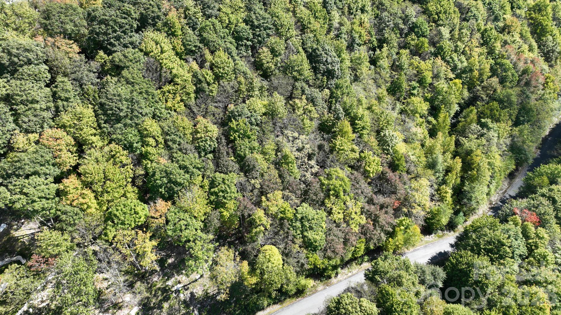 Lot 8 South View Trail 8