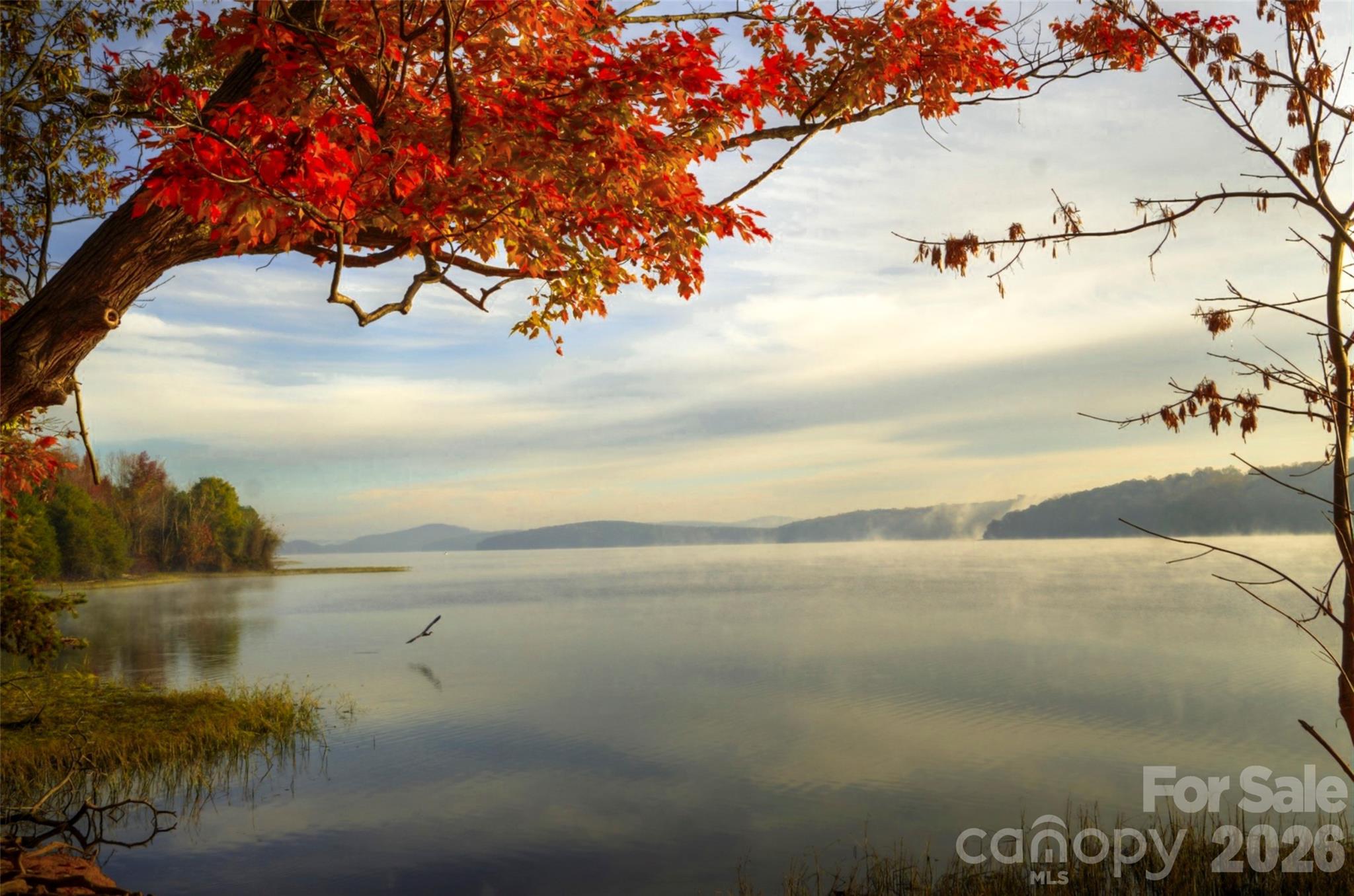 Uwharrie Point - Land