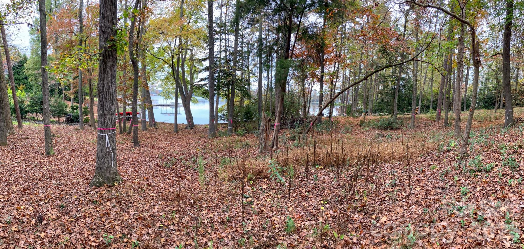 Uwharrie Point - Land