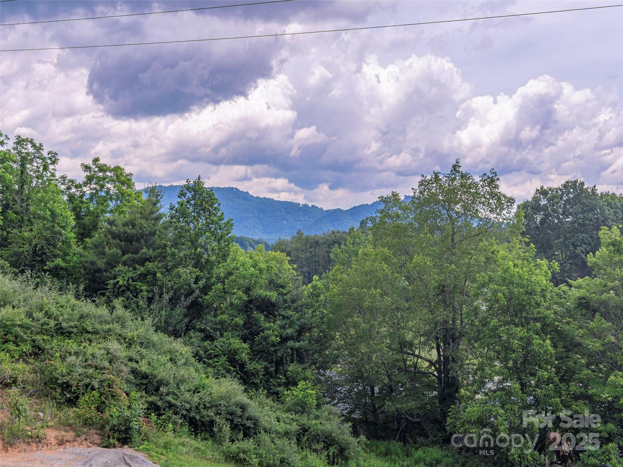 558 Liner Cove Road