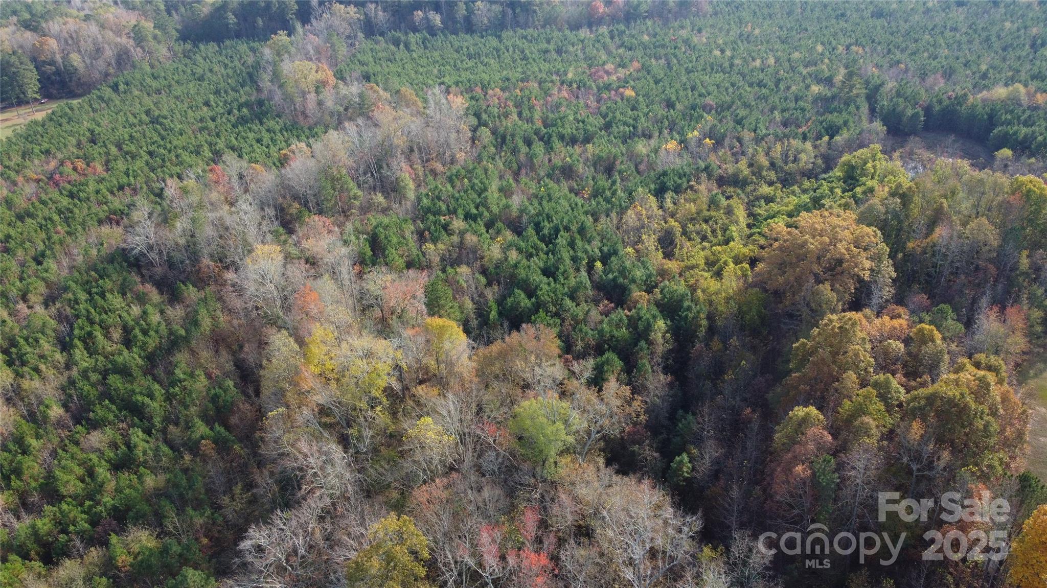 2351 Reges Store Road