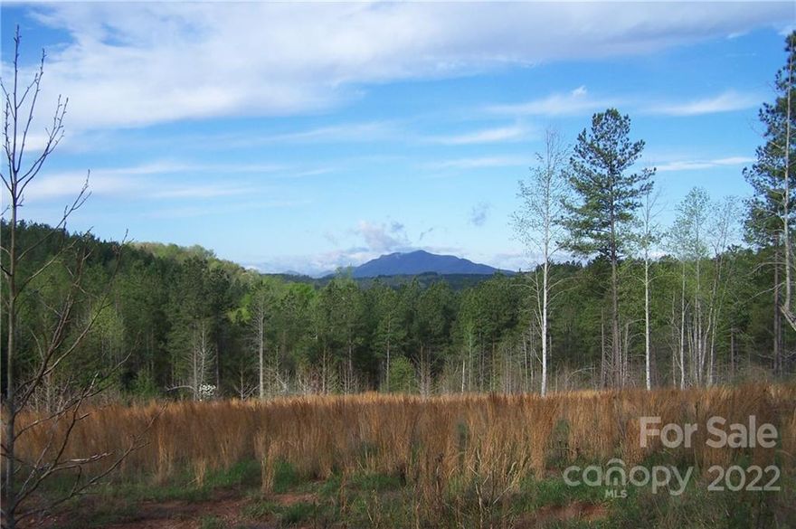 Mountain Views, open grassy areas, wooded and rolling terrain. Private location. Approximately 6 to 8 +/- miles to Tryon International Equestrian Center. Owners willing to consider owner financing with acceptable offer and terms.