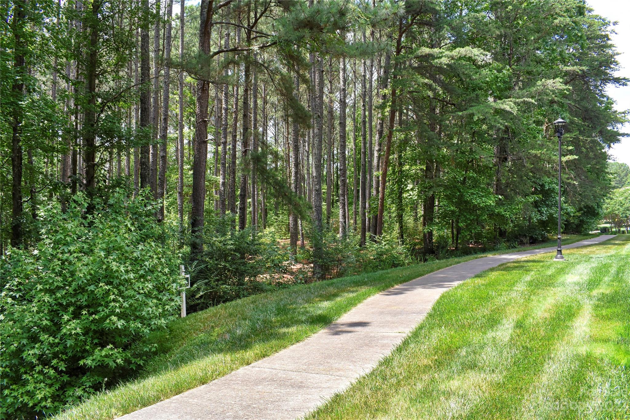 Uwharrie Point - Land