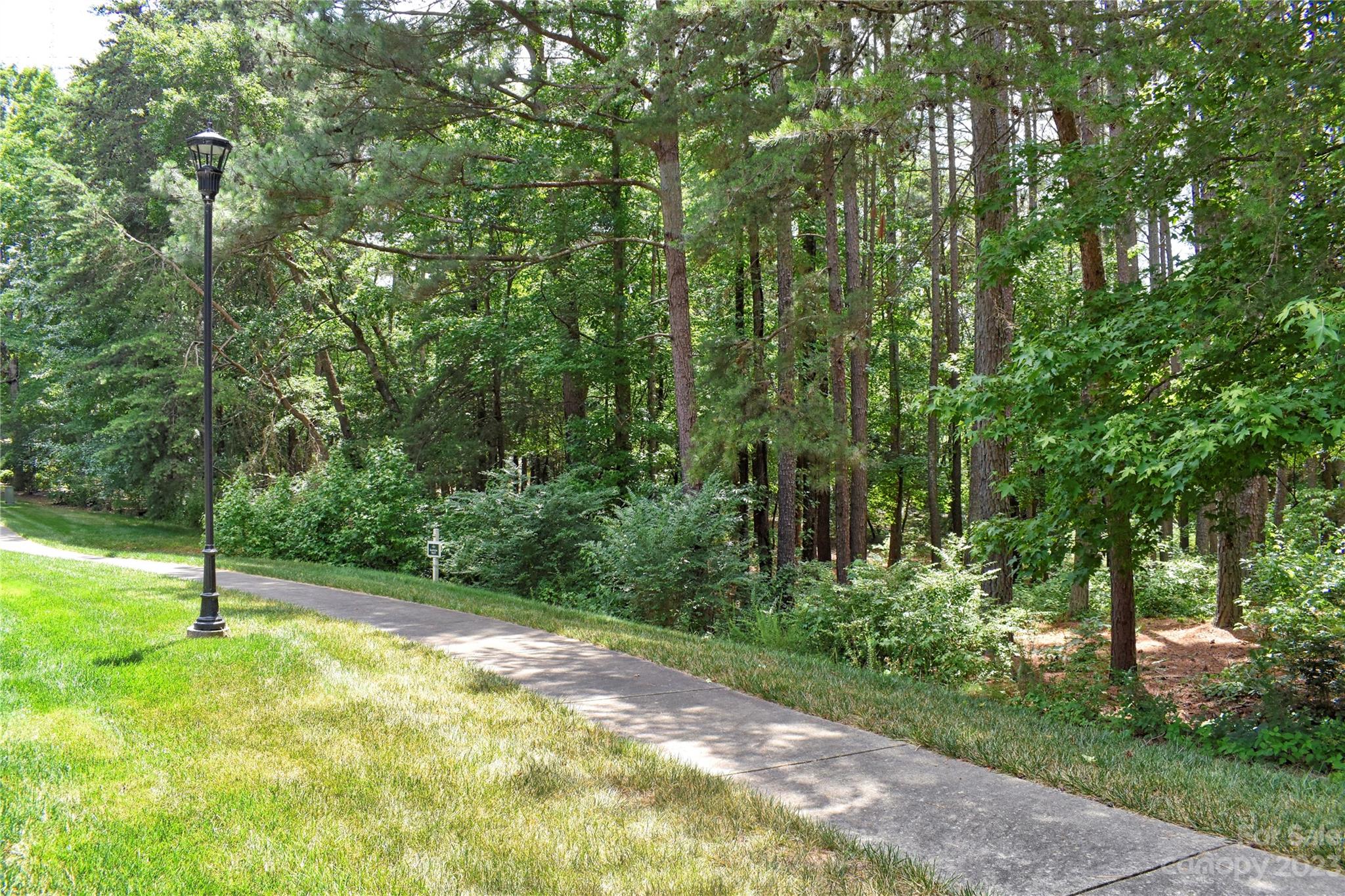 Uwharrie Point - Land