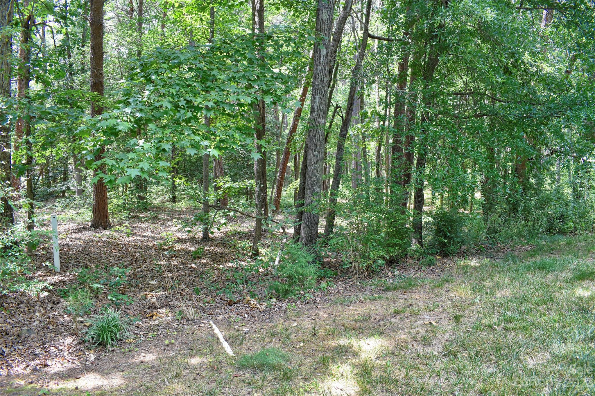 Uwharrie Point - Land