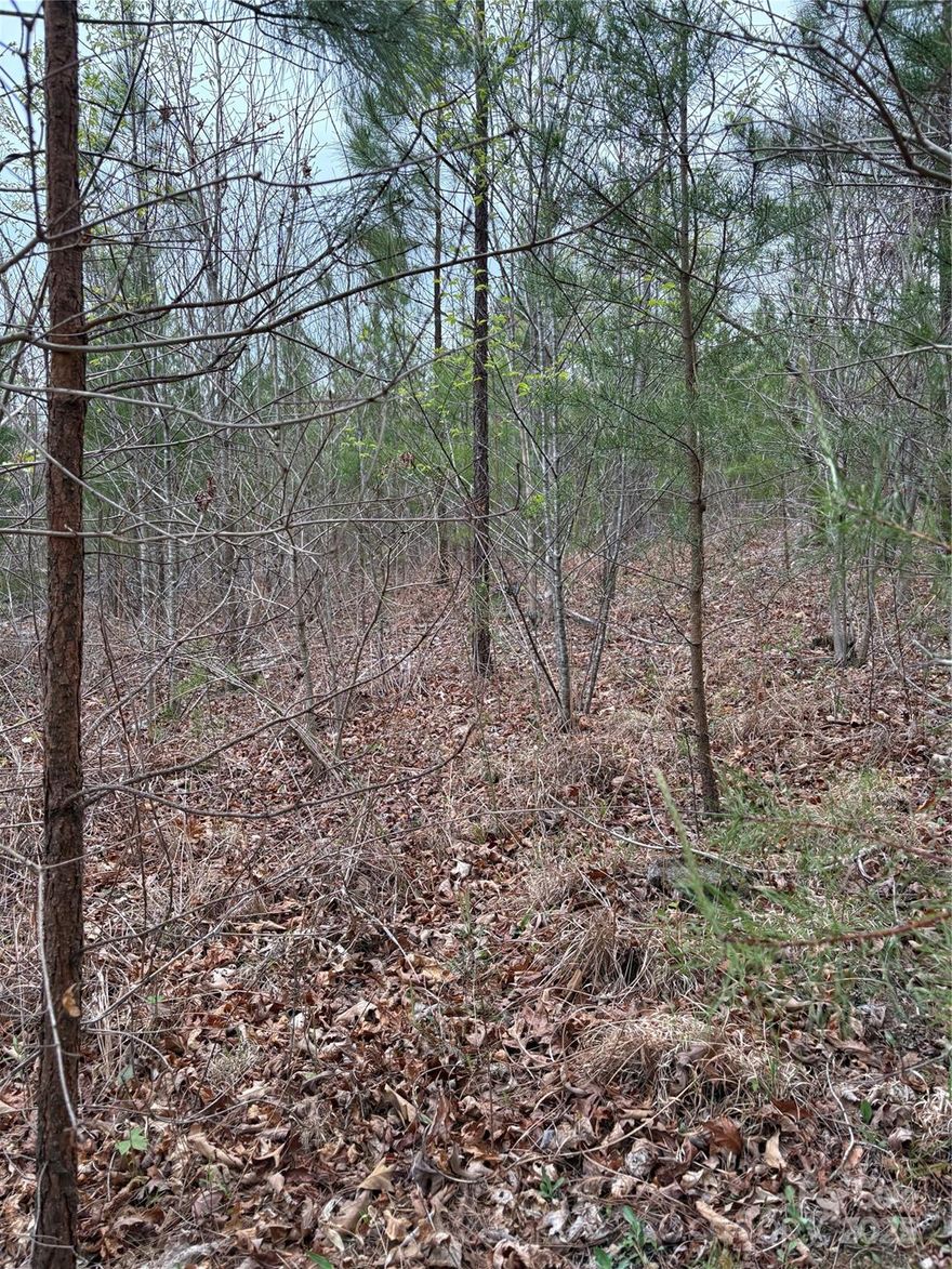 Owner of this land would like to sell this property with MLS#4244203 (P40-17), but it does not adjoin it.