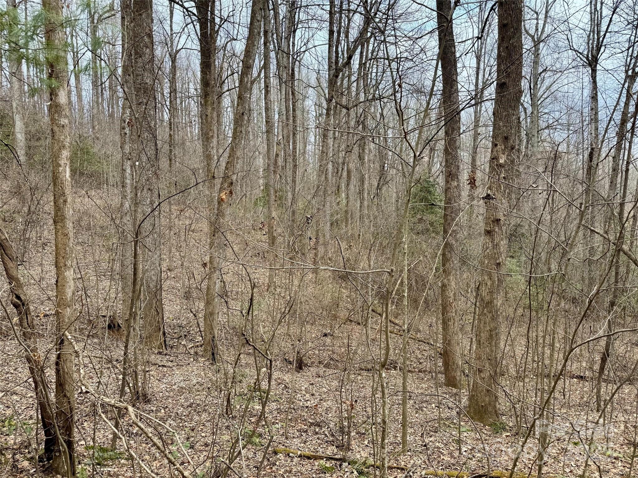 Orchard Mountain - Land