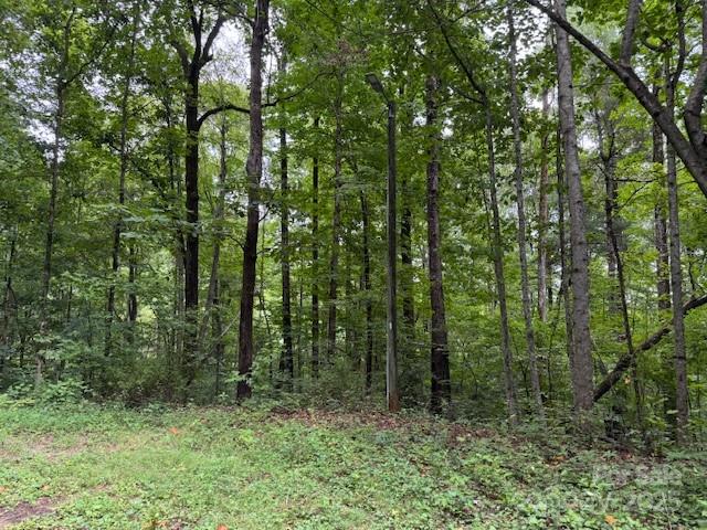 Orchard Mountain - Land