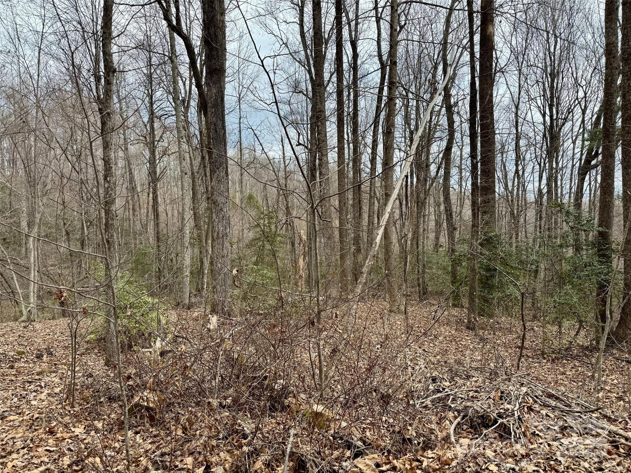 Orchard Mountain - Land