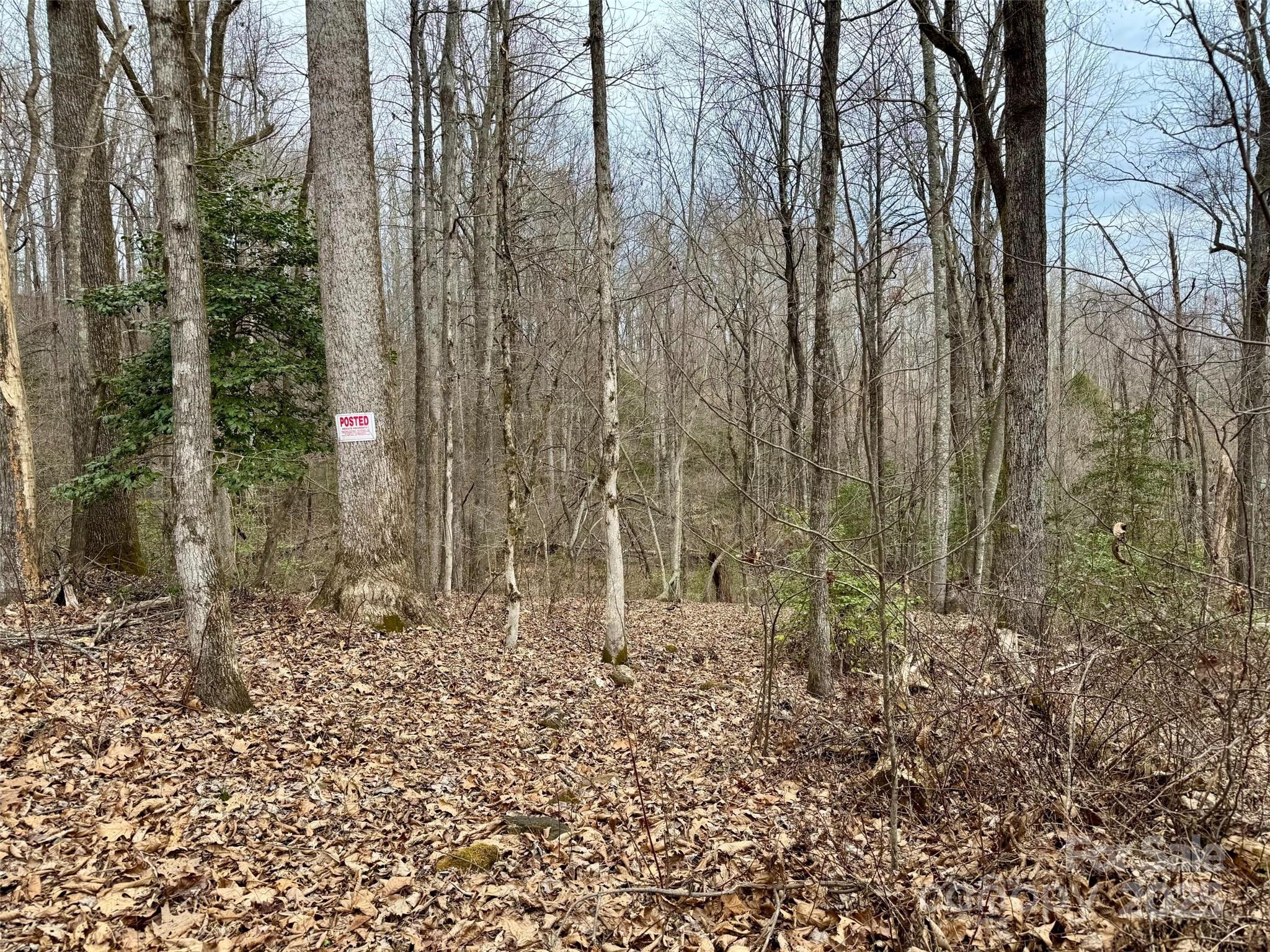 Orchard Mountain - Land