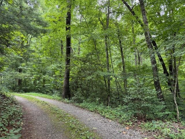 Orchard Mountain - Land