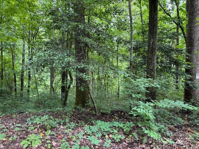 Orchard Mountain - Land